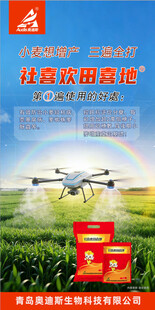 奥迪斯 欢天喜地