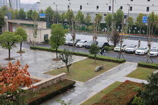 城市中静谧的街道景观