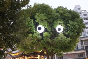 可爱心形绿植造型