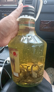 自泡中药材养生酒