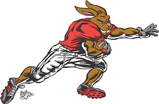 奔跑的运动兔形象