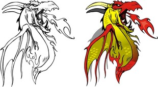 凤凰插画设计稿与上色图