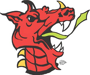 红色恶龙卡通头像