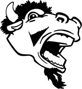 咆哮的牛头图案