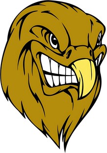 愤怒的鹰头形象