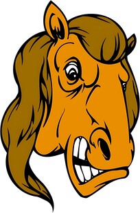 愤怒的卡通马头