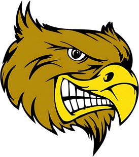 愤怒的鹰头形象