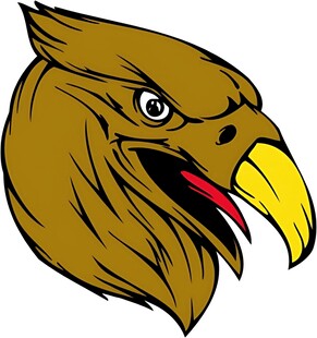 愤怒的鹰头形象