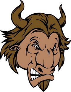 愤怒的牛头形象