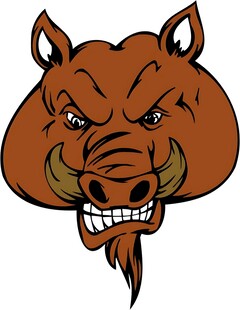 愤怒野猪头形象