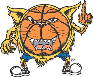 篮球猫吉祥物形象