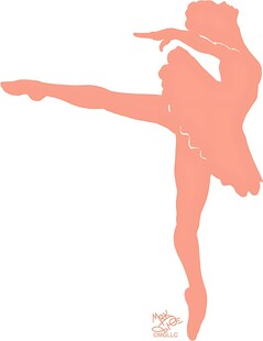 优雅芭蕾舞者剪影