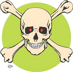 骷髅与交叉骨图案