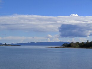 奥克兰海边风景