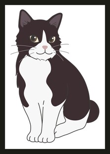黑白猫咪插画