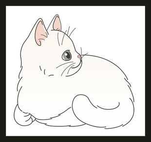 蜷卧的可爱小白猫