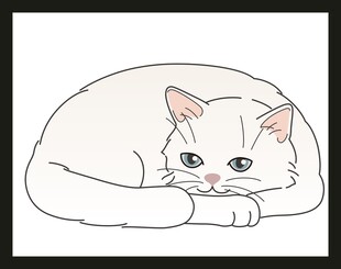 趴着的可爱猫咪