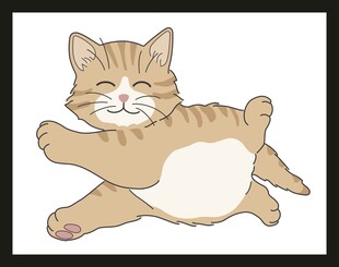 快乐猫咪躺平姿态