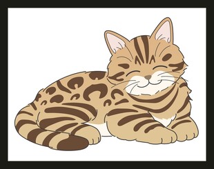 趴着的斑纹猫咪