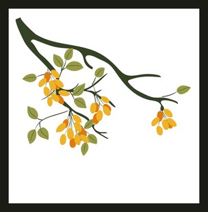 枝头嫩绿花朵绽放