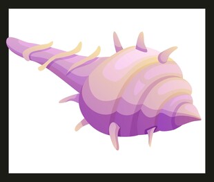 紫色带刺海螺插画