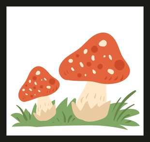 卡通风格双蘑菇插画
