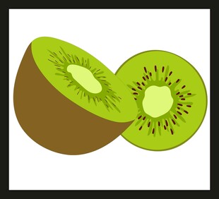 切开的猕猴桃插画