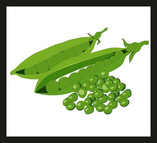 新鲜青豌豆与豆荚