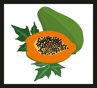 切开的木瓜及绿叶