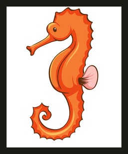 可爱橙色海马插画