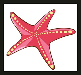 粉色海星插画
