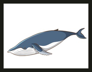 蓝色鲸鱼插画