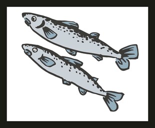 两条卡通鲑鱼