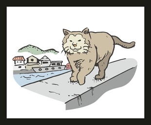 猫咪于户外雪地行走