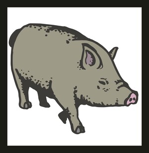 卡通站立的灰猪形象