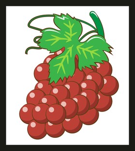 卡通红醋栗插画