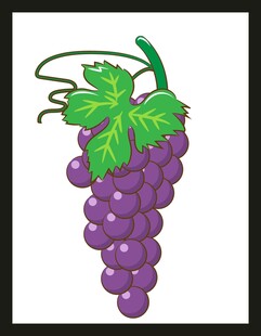 一串紫葡萄插画