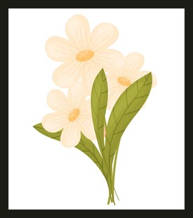 清新手绘白色花朵插画