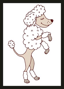 可爱贵宾犬站立姿态图 