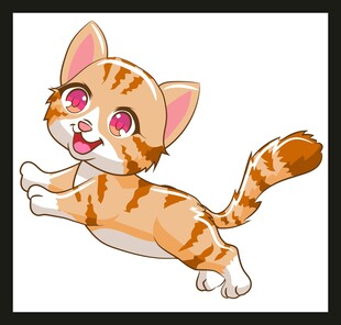 跳跃的可爱小猫咪