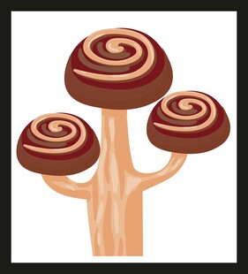 三朵螺旋花纹蘑菇