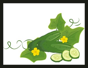 新鲜黄瓜与花朵切片展示