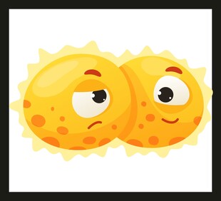 可爱双生太阳卡通形象