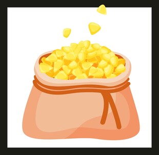 装满金币的袋子