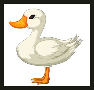 卡通白鸭子形象