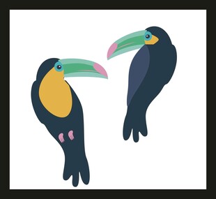 两只巨嘴鸟插画