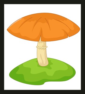 橙色蘑菇插画