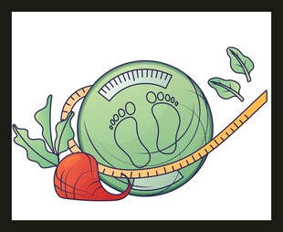 青蛙与秤的趣味插画