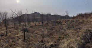 冬日荒野山丘景象