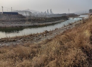 冬日河边荒芜景象